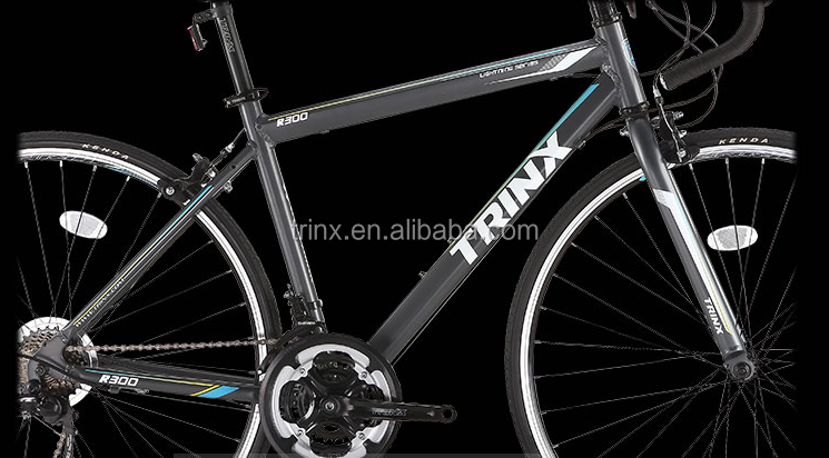 trinx r300 price