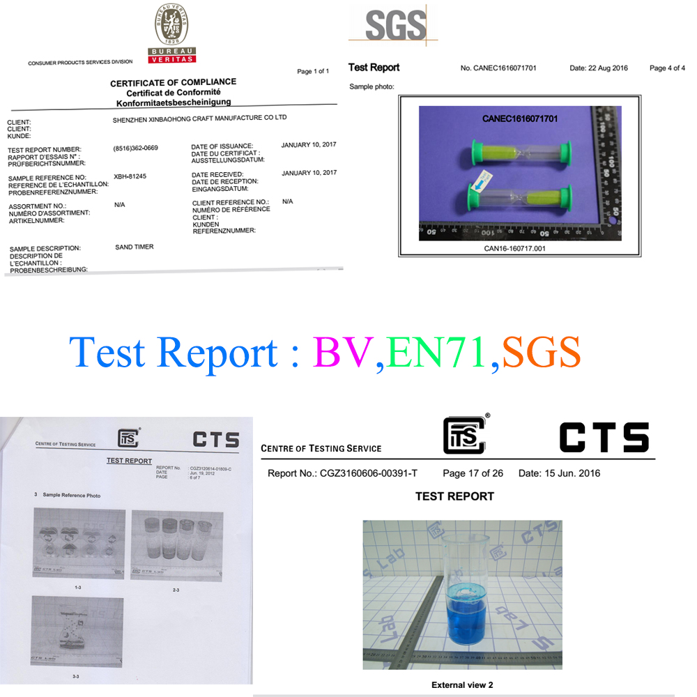 Test report
