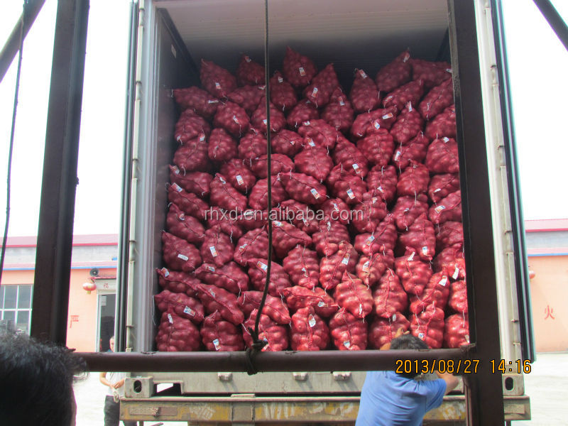 fresh onion 2014 red onion lowest price