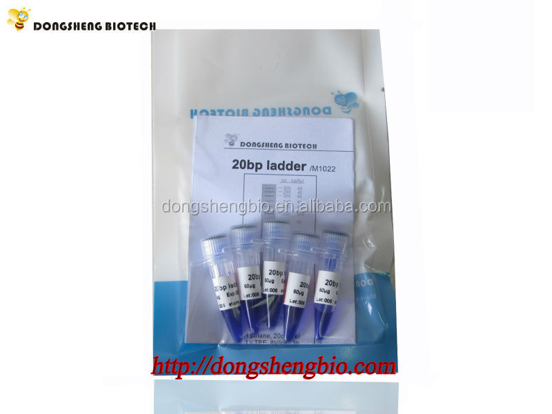 M1022 20bp ladder