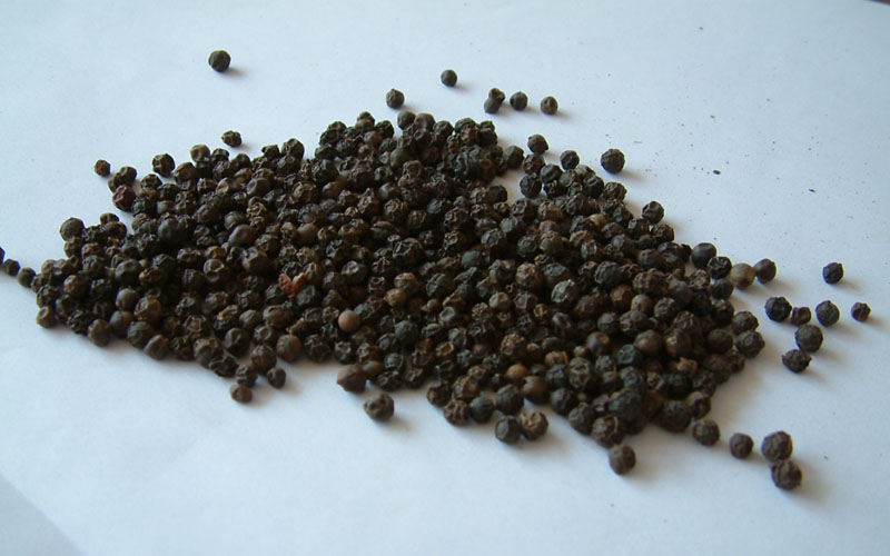 piperine 94-62-2 /piperine p.e. / pepper extract piperine