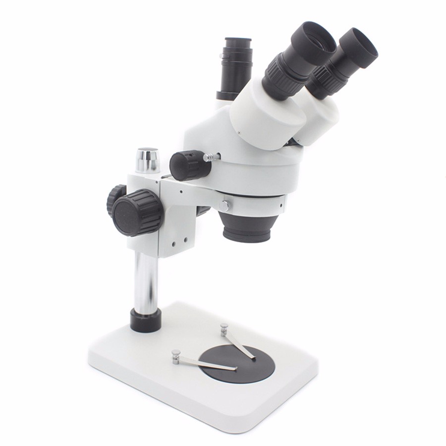 Ftsm45t1 Mini Digital Eyepiece Camera Microscope Fluorescence
