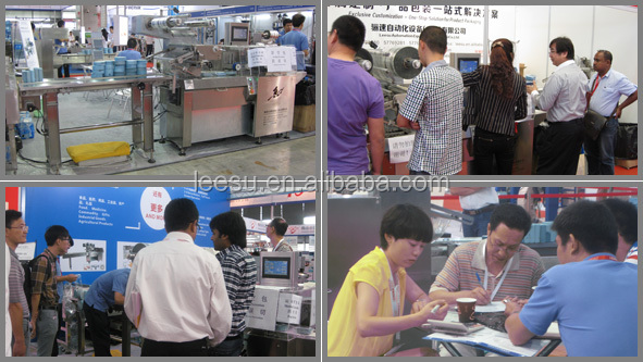 SGM080-3A-P/T Horizontal Flow Automatic Pillow Lollipop Candy Packaging Machinery