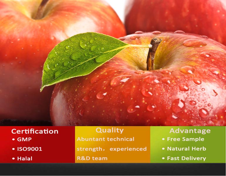 Organic Apple Powder/Instant Apple Tea Powder/Apple Powder