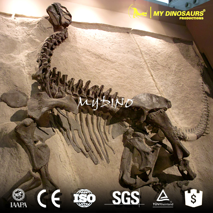 fossil wall art.jpg