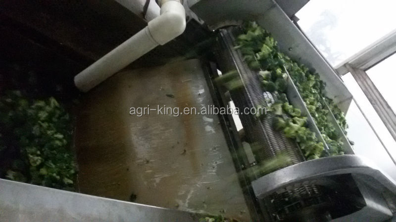 2014 new high quality frozen broccoli & iqf broccoli price