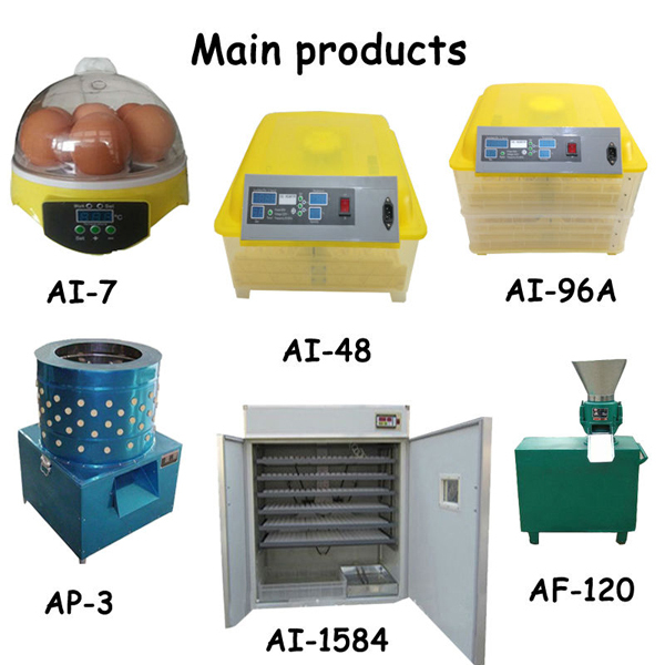 main product
