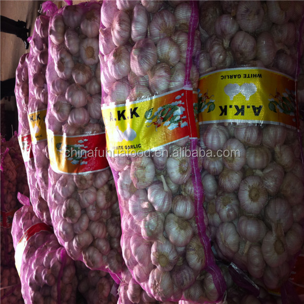 Fresh Garlic 20kg/mesh Bag