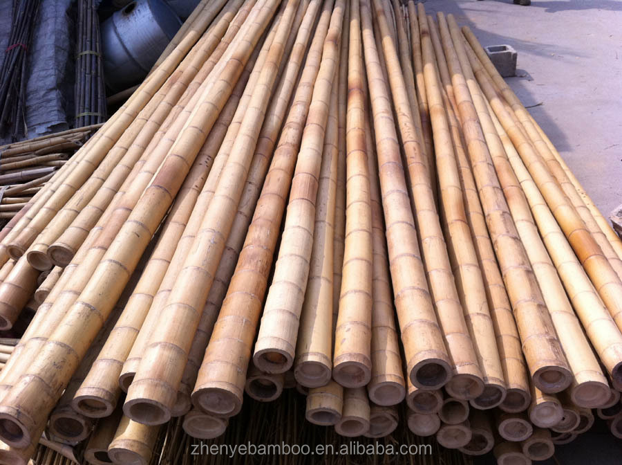 Bamboo Pole 2011-2.jpg