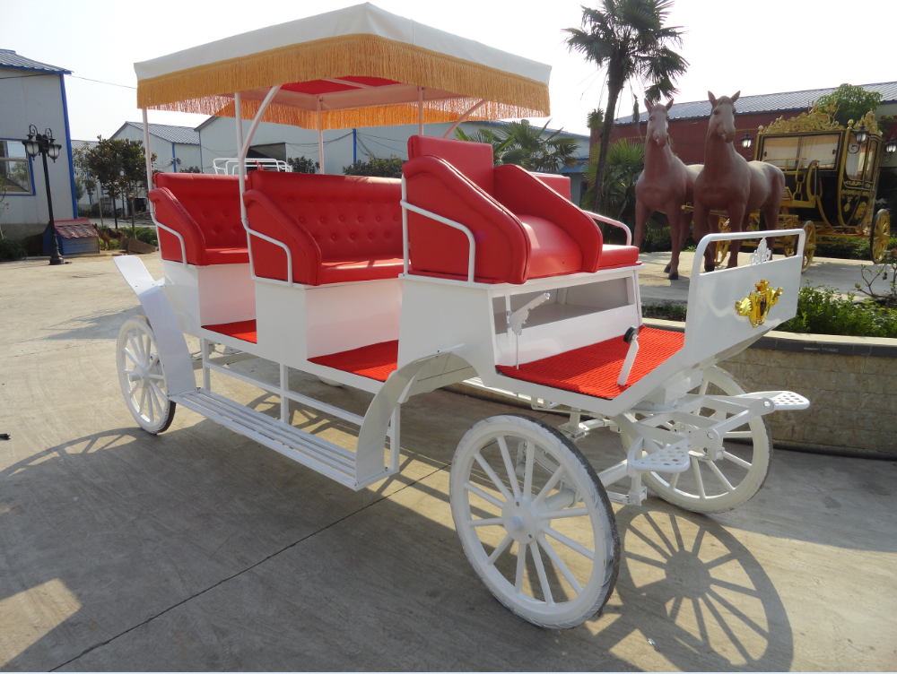 Sightseeing horse carriage (7).png