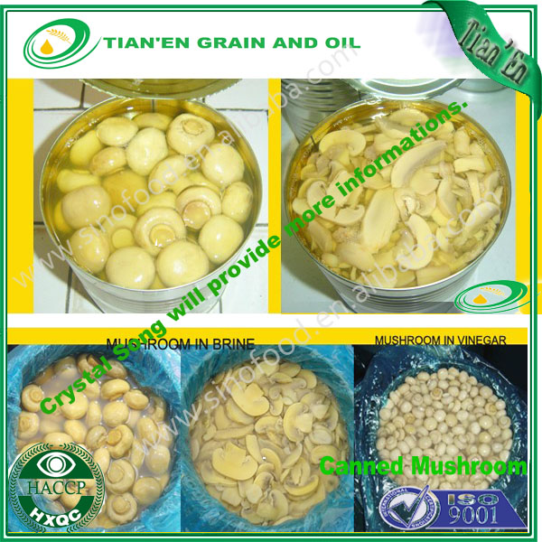 canned mushroom in brine with competitive mushroom price haccp certified products