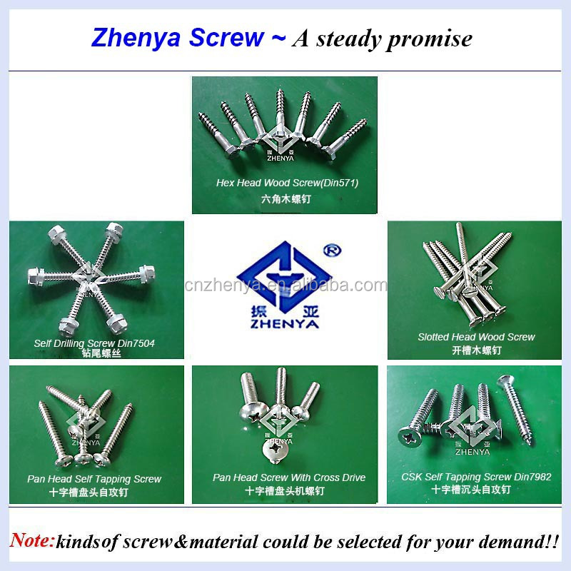 Screw-zhenya-800-001.jpg