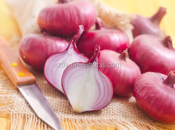 Fresh red onion best quality