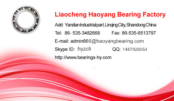 中国のベアリング工場クロム鋼ボールベアリングメーカー6904zz高精度のボールベアリング