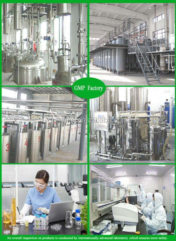 Natural High Quality Green Tea Extract powder CAS NO:84650-60-2