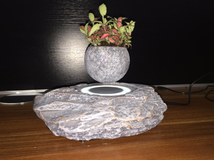 Levitating bonsai air tree indoor with green plants (6).JPG
