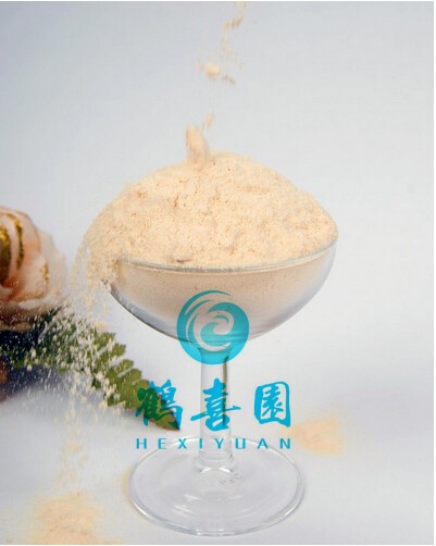 Soya Lecithin as cocoa butter replacer