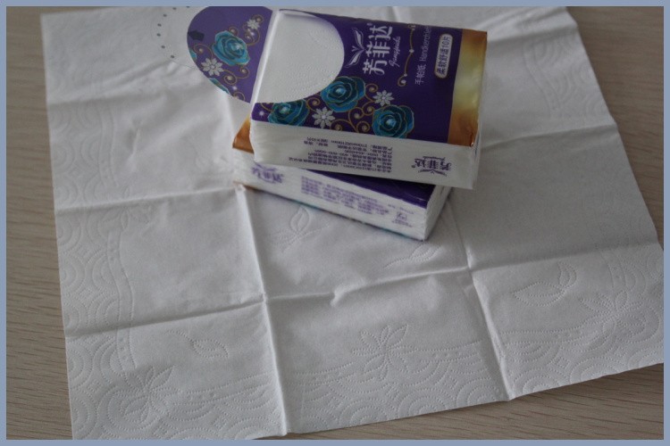Pocket Tissue3-05