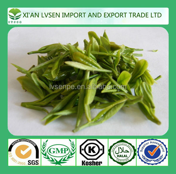 Hot products Antioxidant and Scavenge free radicals green tea powdered extract