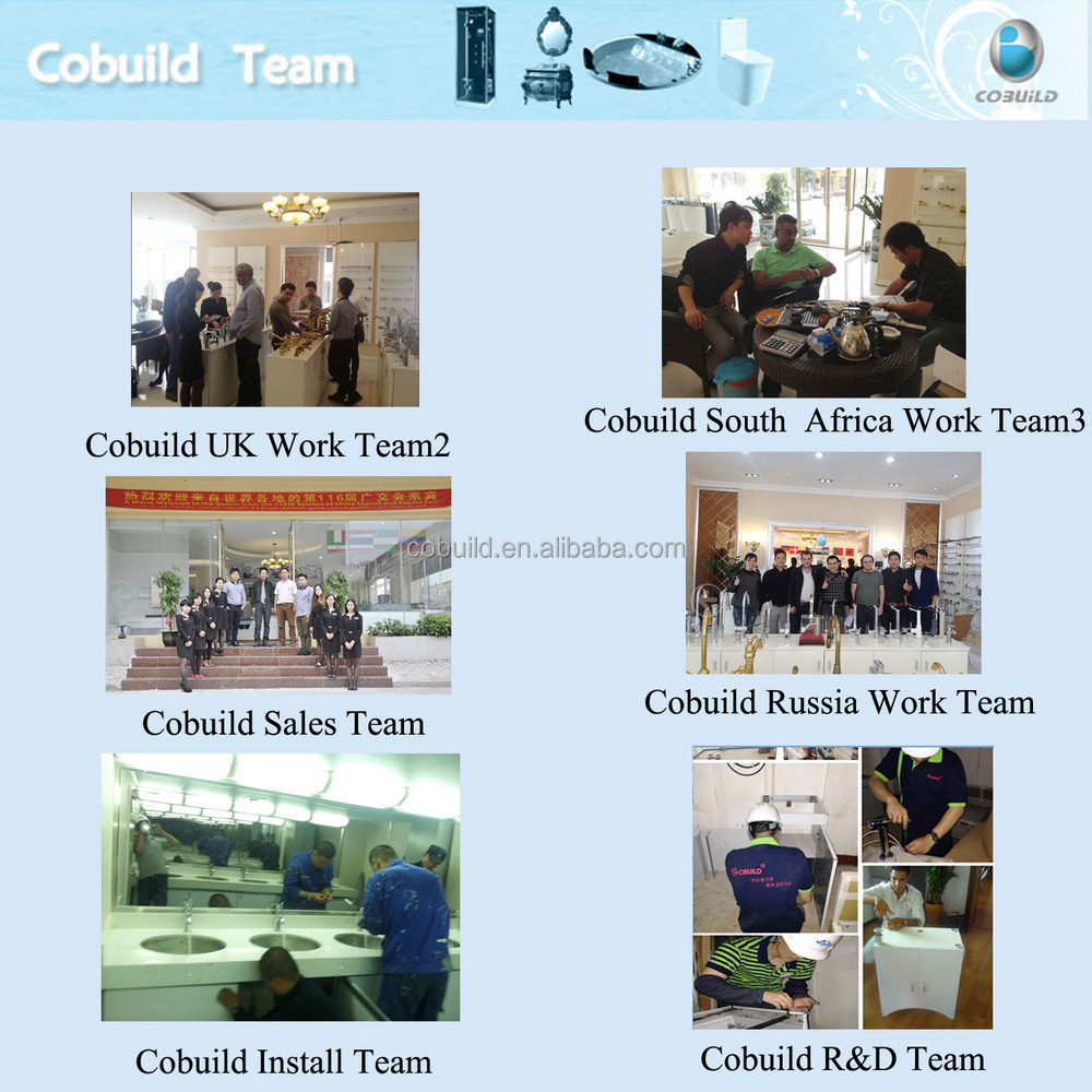 cobuild team.jpg