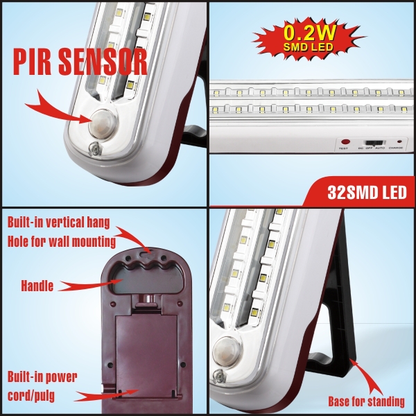 1093PIR-1.jpg