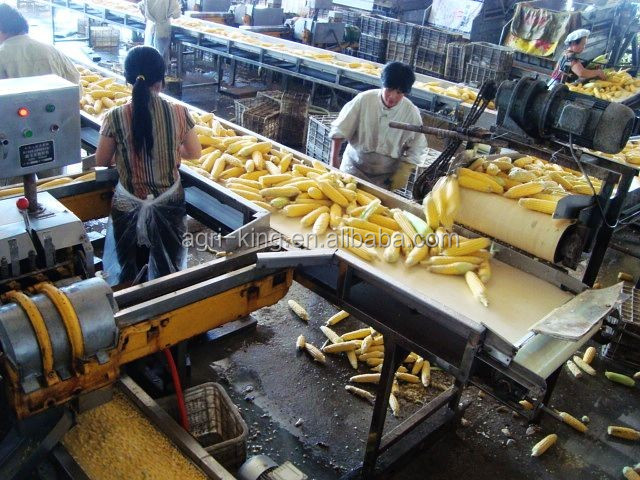 frozen sweet corn kernel