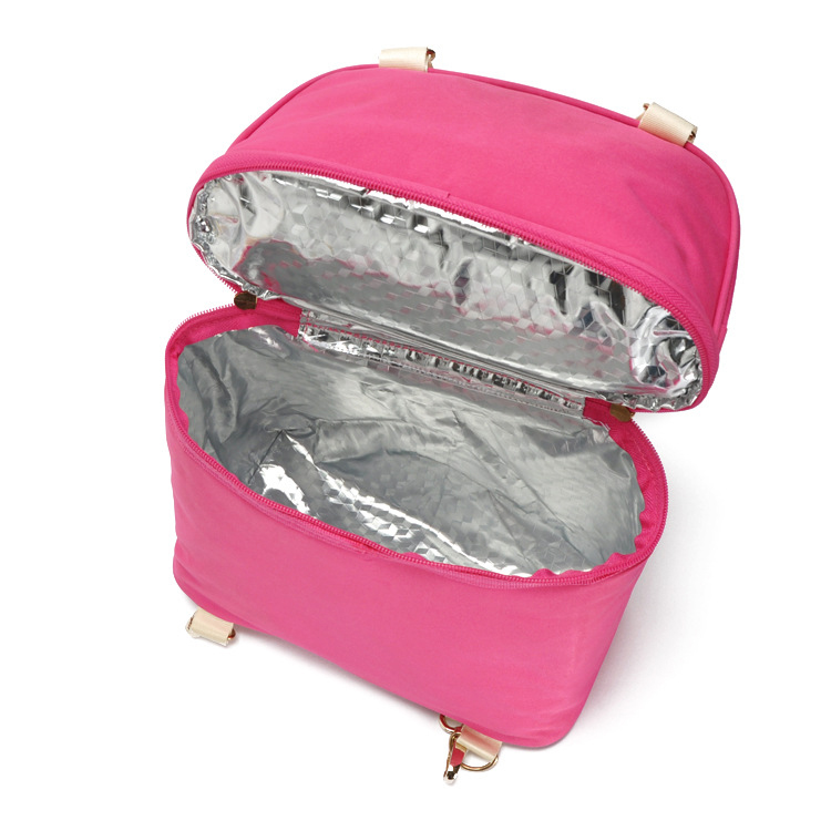 Wholesale Hot Design Cooler Bag Asi