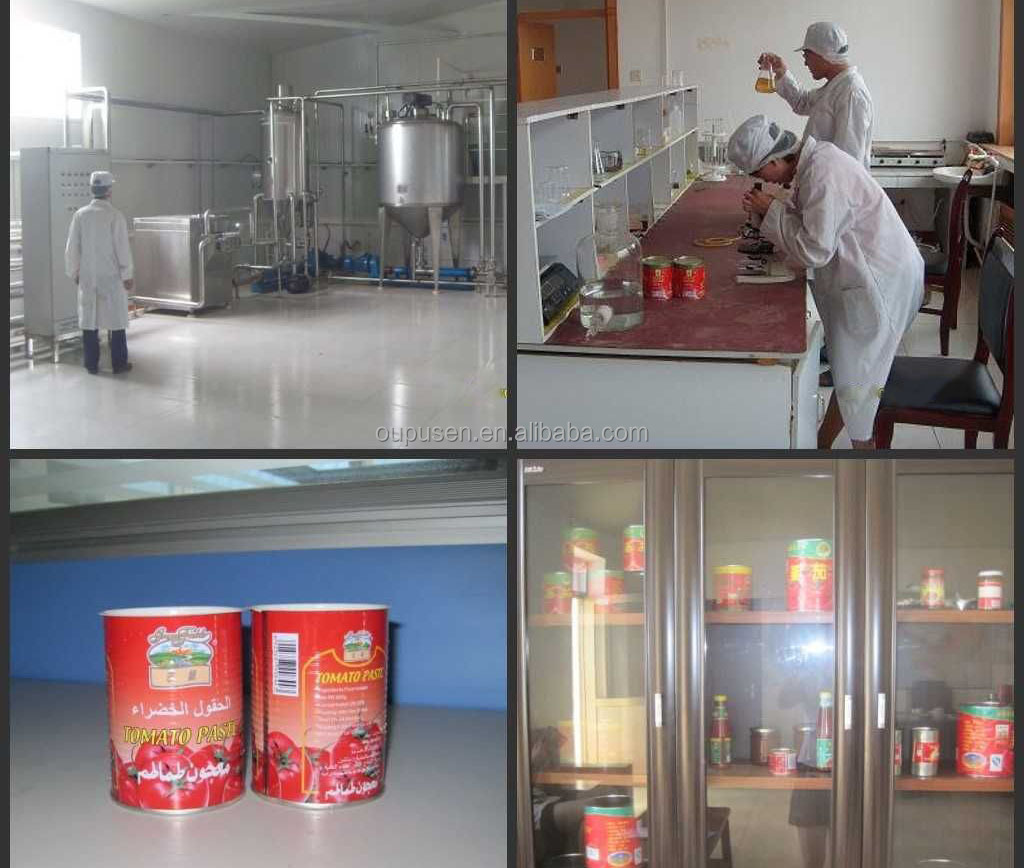 Ketchup In 70-3000g Canned Tomato Paste
