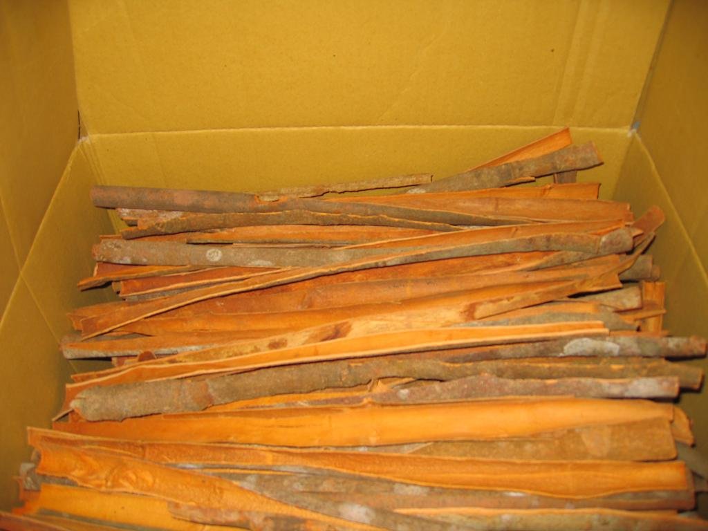 Vietnam split cassia for new crop 2014