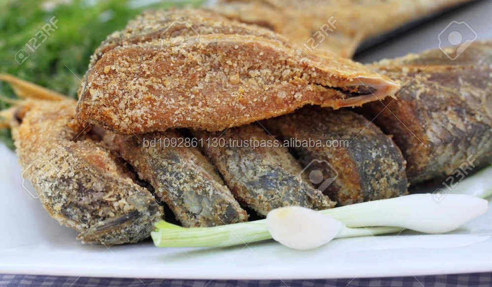 dry fresh natural salted hilsha fish export quality