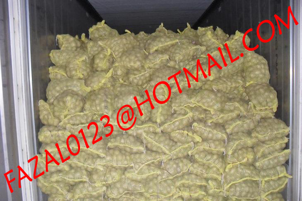 FRESH POTATO FROM EXPORT TRADE ASSOCIATE (10).jpg