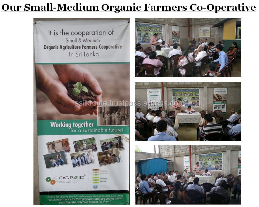 4.2.1 Farmers COOP.JPG