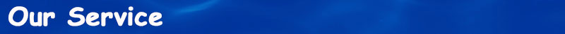 our-services-.jpg