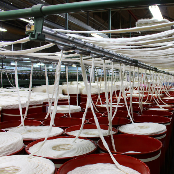 ファッショナブルな綿100％プレミアム価格で汗スーツ、 小ロットオーダー利用可能仕入れ・メーカー・工場