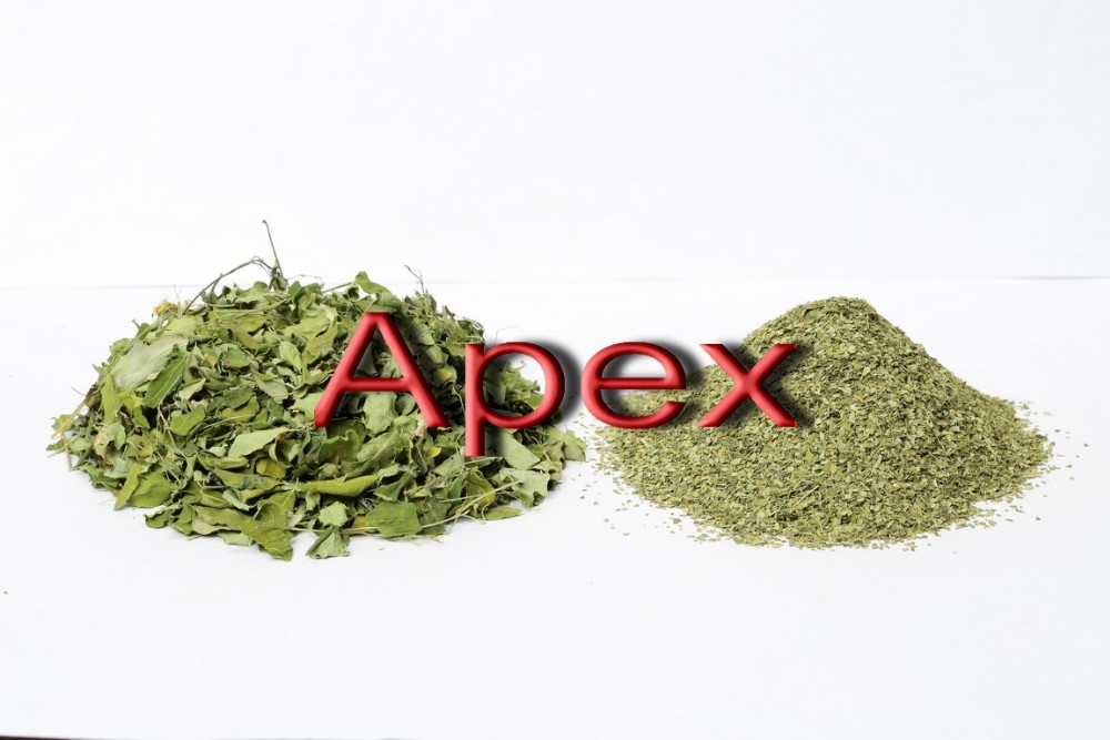 Moringa TBC.jpg