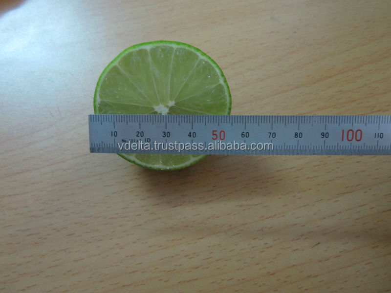 Fresh Persian Lemon - New crop, competitive price