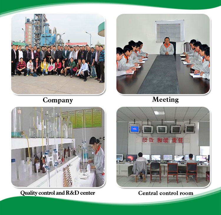 Company information.jpg
