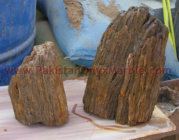 petrified-wood-rough-05.jpg