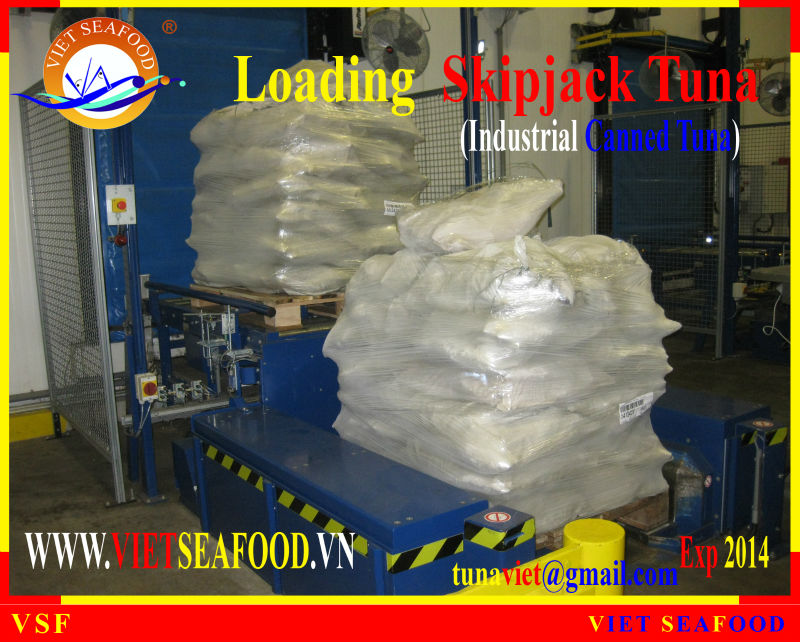 LOADING FROZEN SKIPJACK TUNA