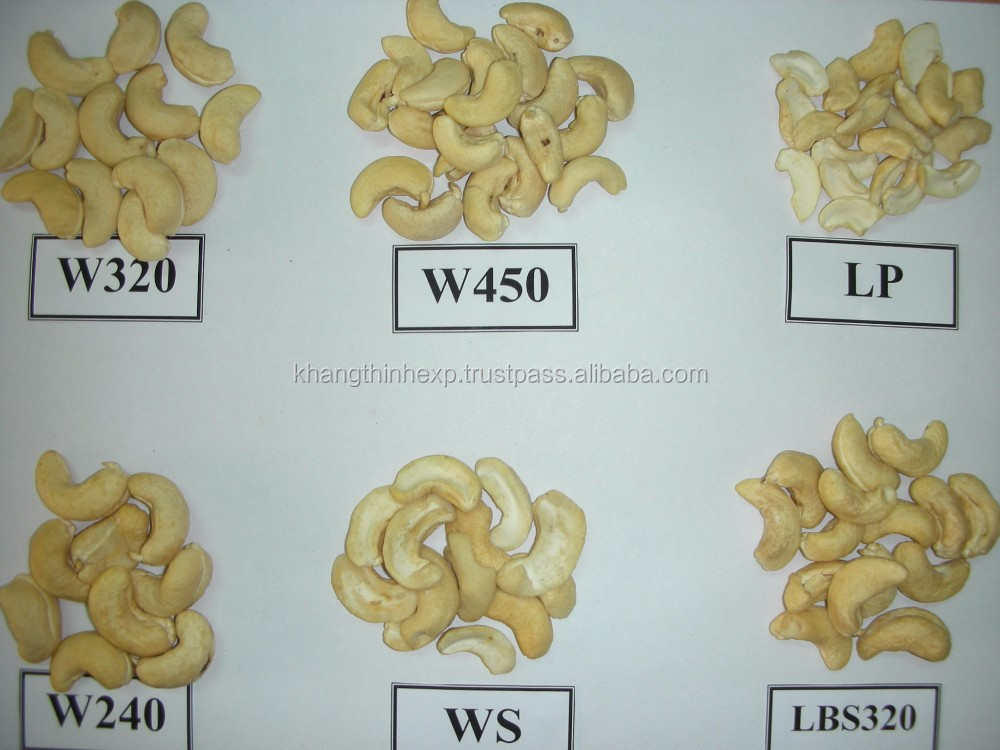dried style vietnam cashew nuts/ cashew kernels ww240/ ww320/ ws