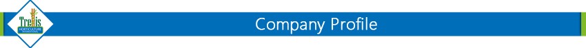 Company profile.jpg