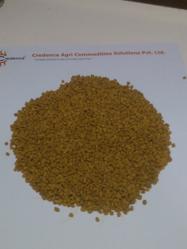 Exporter of fenugreek