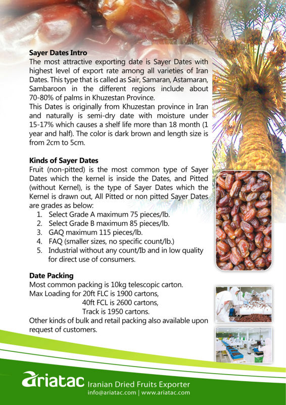 Sayer Dates (Sair) Fresh Date (((NEW HARVEST)))