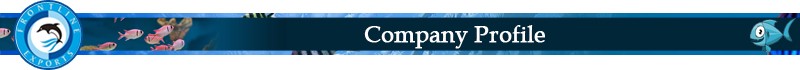 Company Profile.jpg