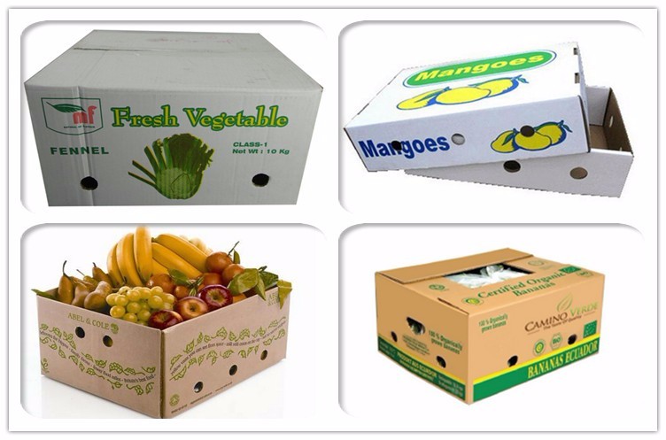 Caja de Cartón para Fruta Especial Kraft en Canal Doble 60x40x20 cm para  20-25 Kg - Caja Cartón Embalaje .Com