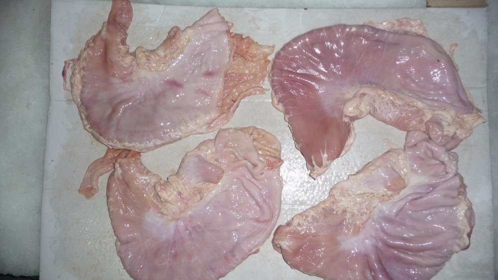Frozen Pork Stomach Pig Tripe Poland Buy Pork Stomach,Pork Tripe