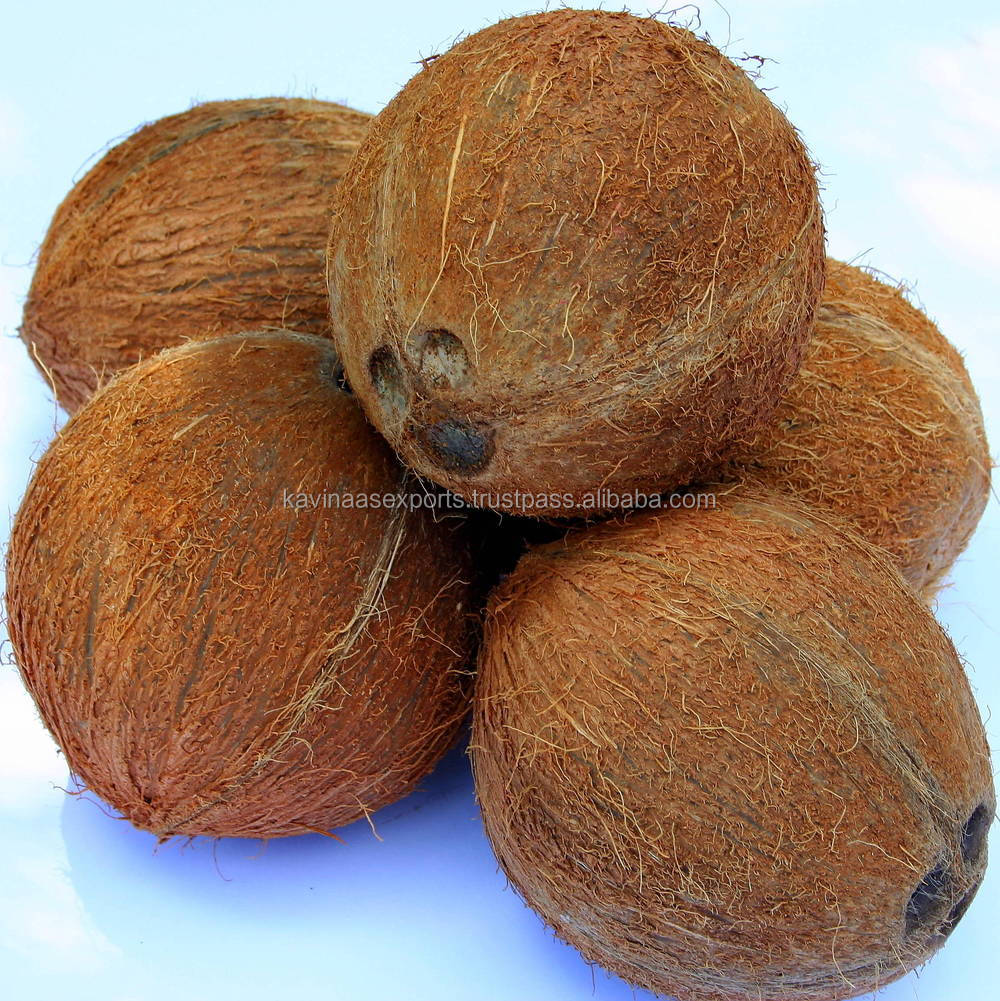 Best Quality Brown Coconuts Buy Fresh Coconut,Canned Coconut,Green Coconut Product on