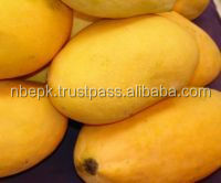 sindhri mango2.jpg