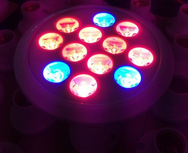 フルスペクトラムled成長ライト12ワットe27 led電球用の花植物水耕栽培システム交流85ボルト -265ボルトグローボックス仕入れ・メーカー・工場