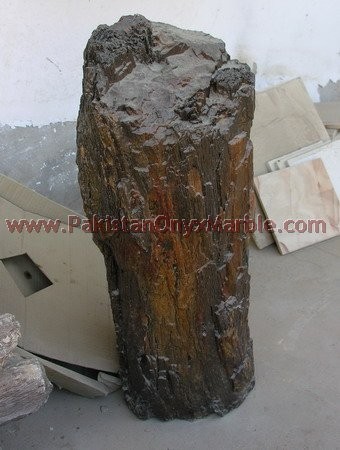 petrified-wood-rough-03.jpg